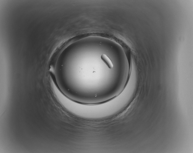 X0000112151357200908141206