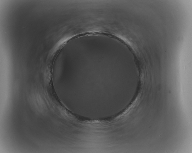 X0000112151359200908141206