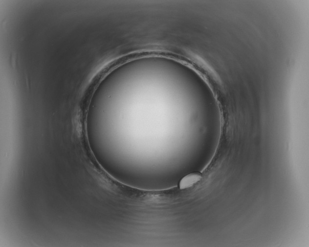 X0000112151360200908141206