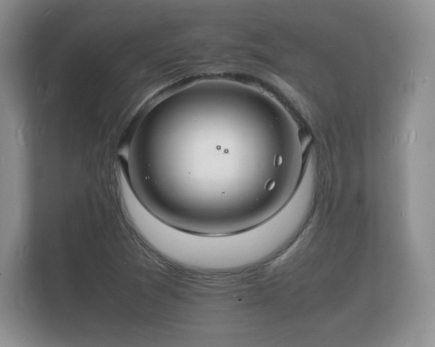 X0000112151361200908141206