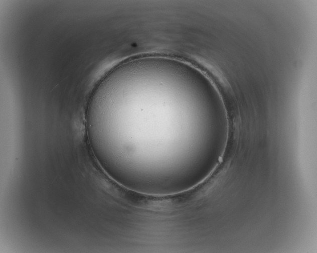 X0000112151363200908141206