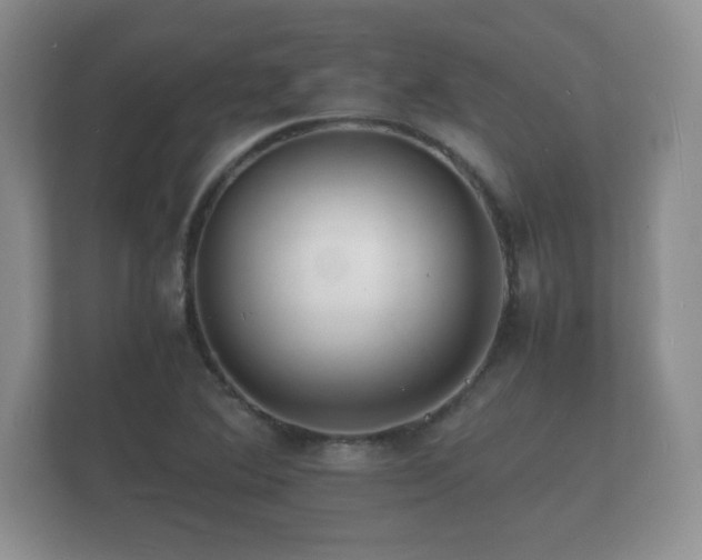 X0000112151364200908141206