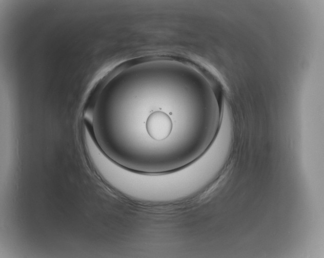 X0000112151365200908141206