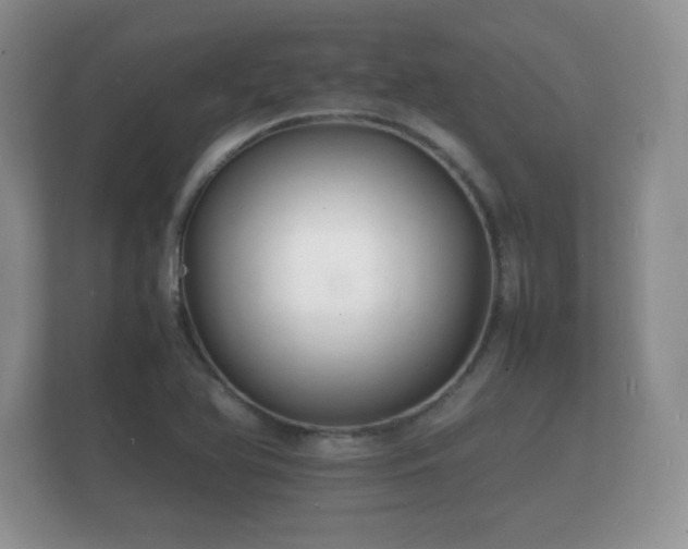 X0000112151366200908141206