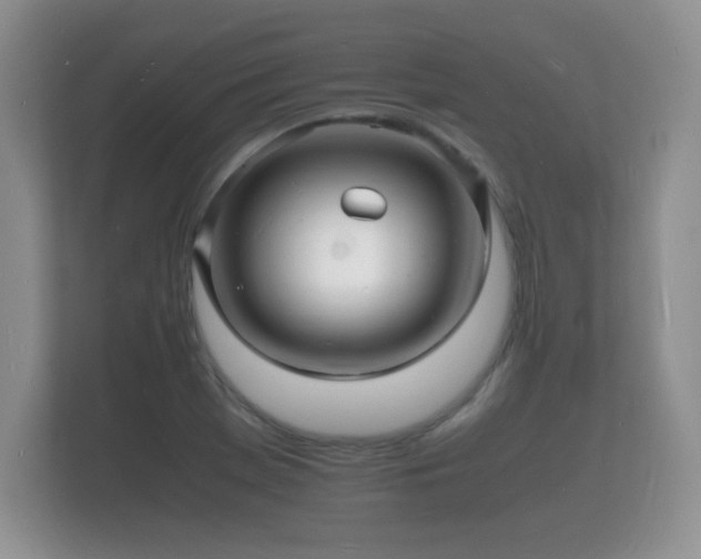 X0000112151369200908141206