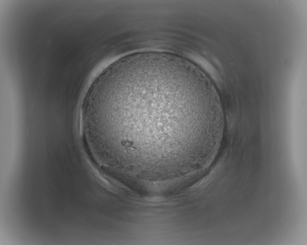 X0000112151371200908141206
