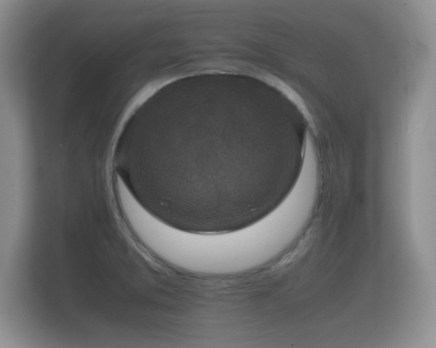 X0000112151373200908141206