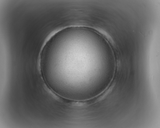 X0000112151374200908141206