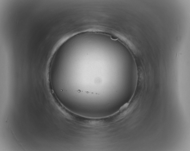 X0000112151375200908141206