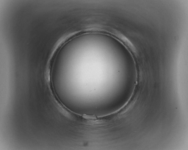 X0000112151376200908141206