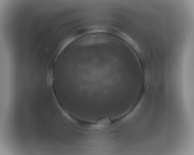 X0000112151377200908141206