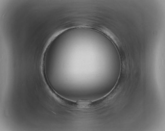 X0000112151379200908141206