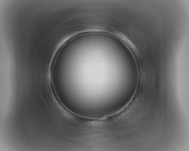 X0000112151380200908141206