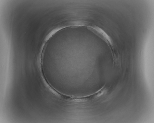 X0000112151381200908141206