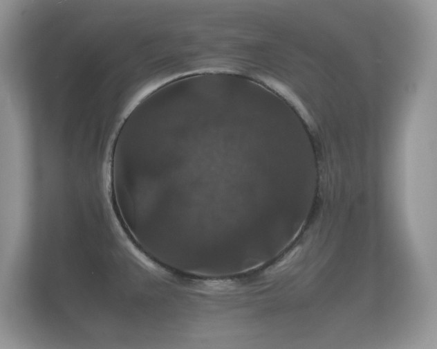 X0000112151383200908141206