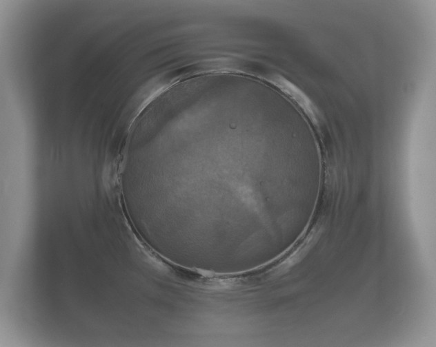 X0000112151385200908141206