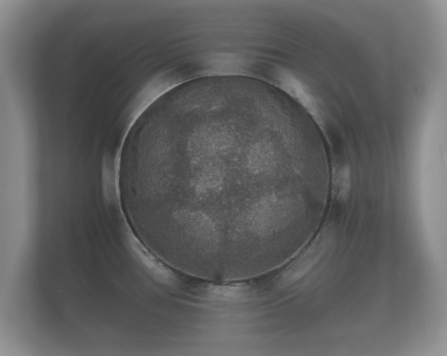 X0000112151386200908141206
