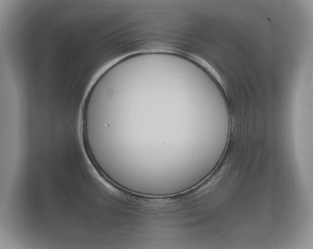 X0000112151387200908141206
