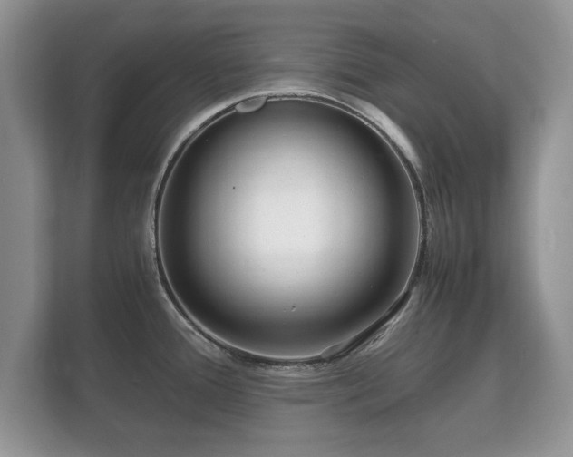 X0000112151388200908141206