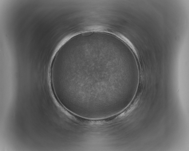 X0000112151389200908141206