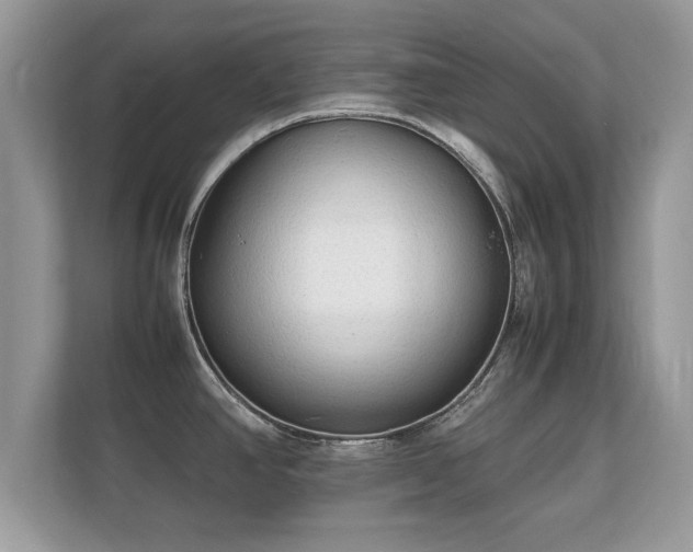 X0000112151390200908141206