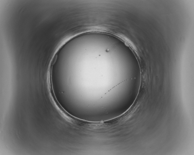 X0000112151391200908141206