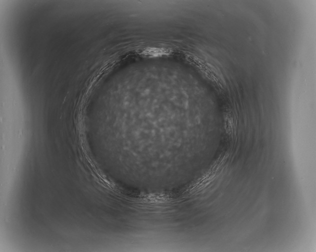 X0000112151393200908141205