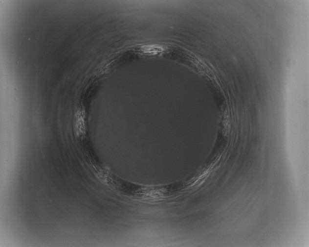 X0000112151394200908141205