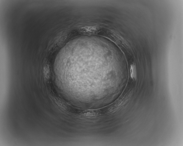 X0000112151395200908141205