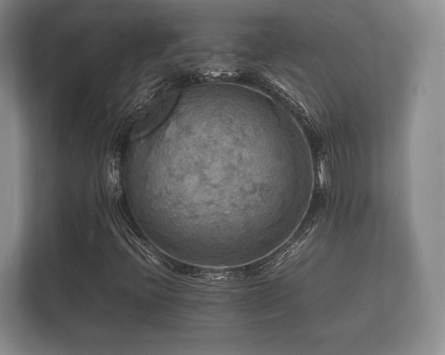 X0000112151396200908141205