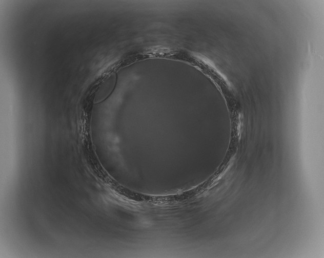 X0000112151399200908141205