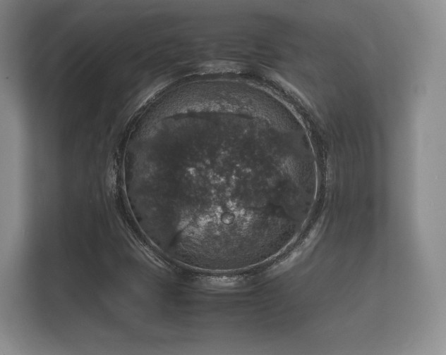 X0000112151401200908141205