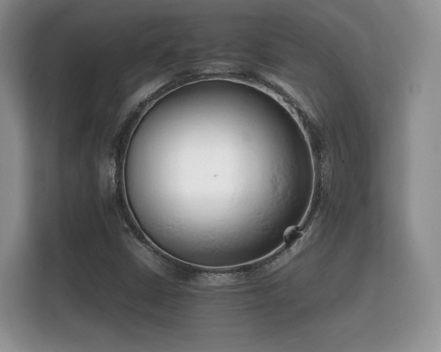 X0000112151402200908141205