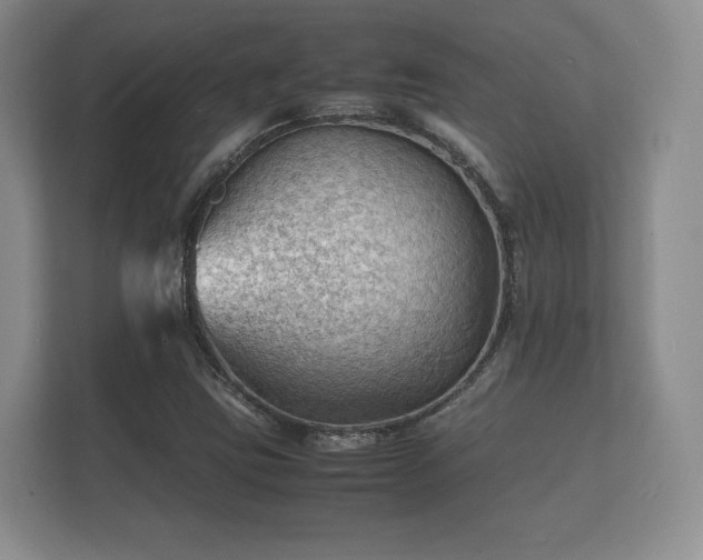 X0000112151403200908141205