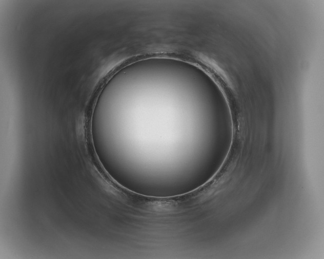 X0000112151404200908141205