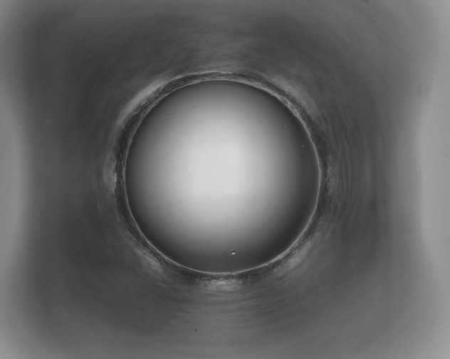 X0000112151406200908141205