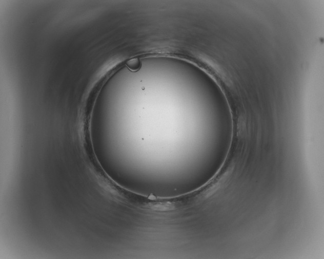 X0000112151410200908141205