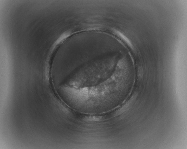 X0000112151411200908141205