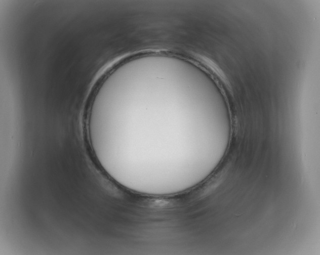 X0000112151412200908141205