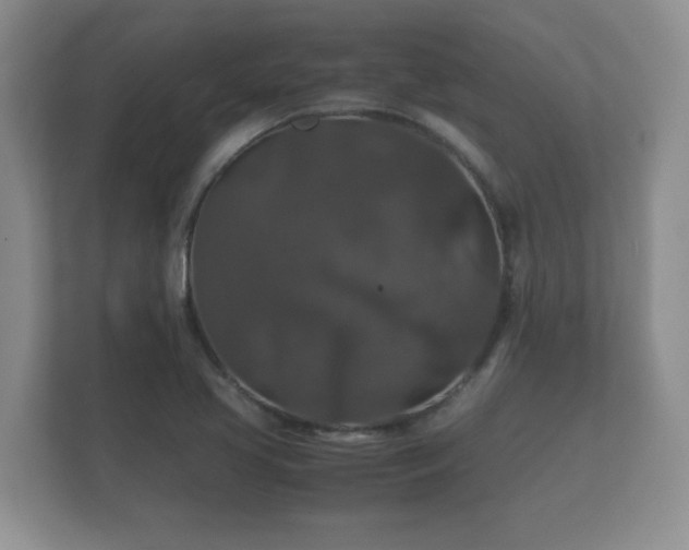 X0000112151413200908141205
