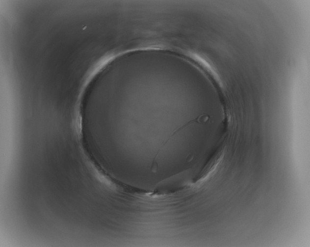 X0000112151414200908141205