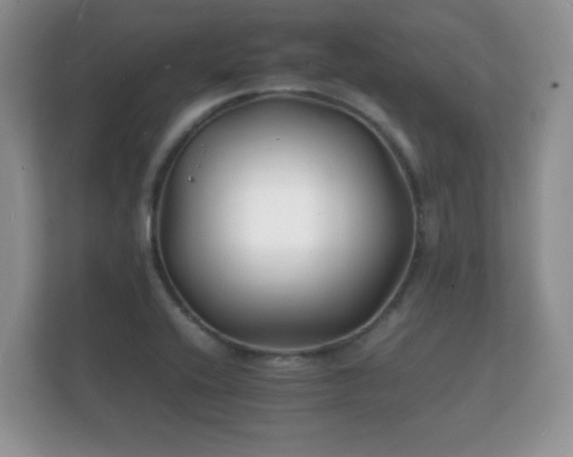 X0000112151416200908141205