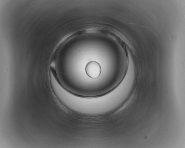 X0000112151417200908141205