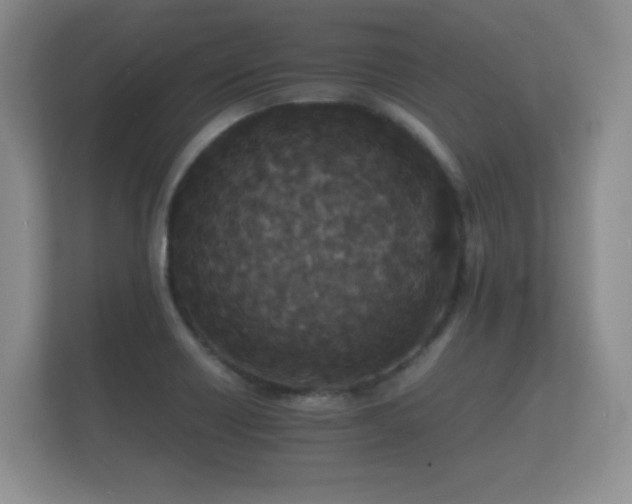 X0000112151418200908141205