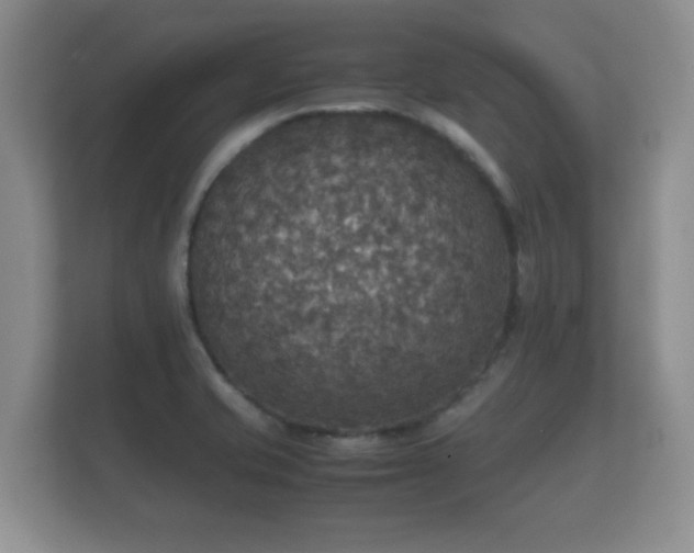 X0000112151421200908141205