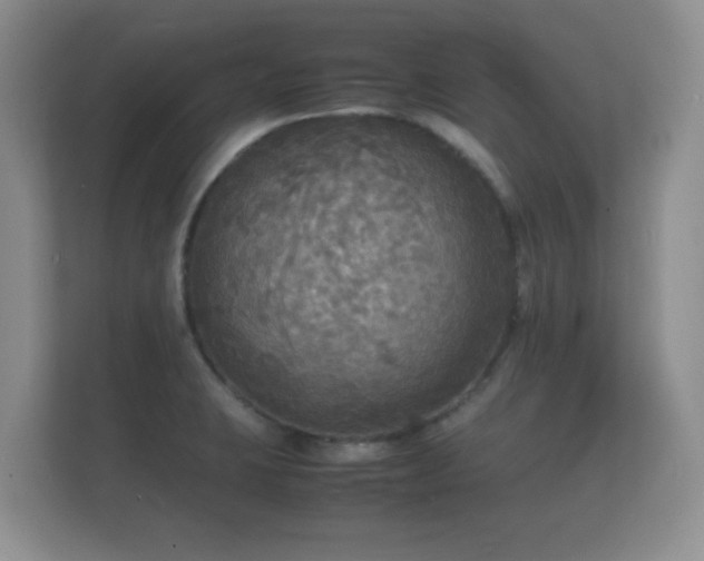 X0000112151423200908141205