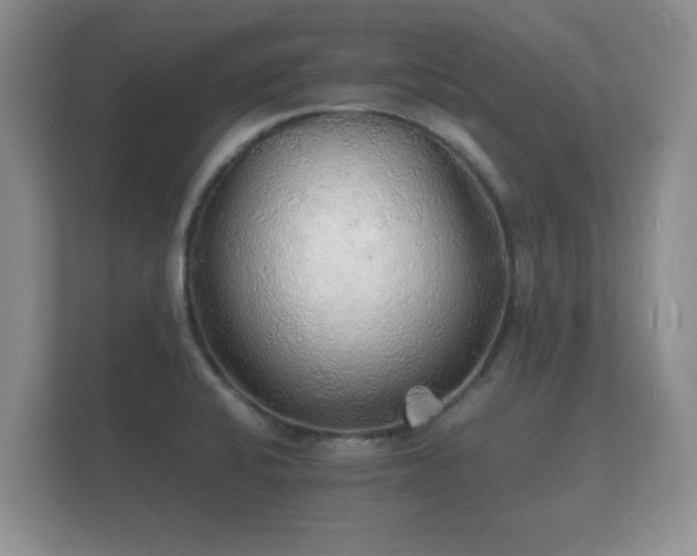 X0000112151424200908141205
