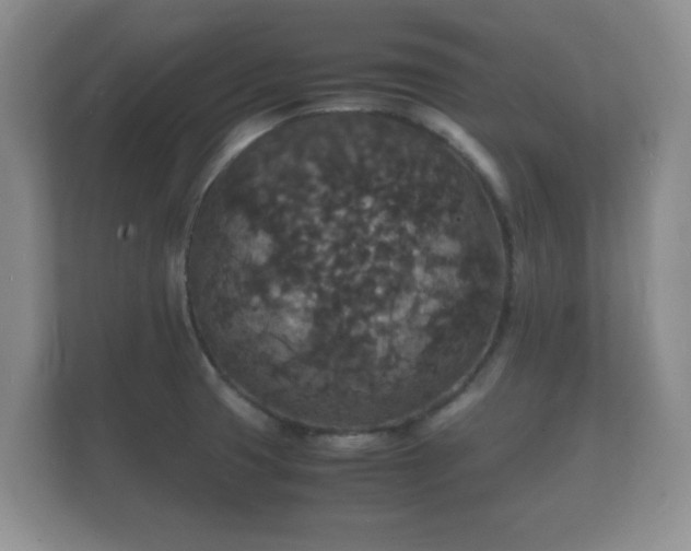 X0000112151425200908141205