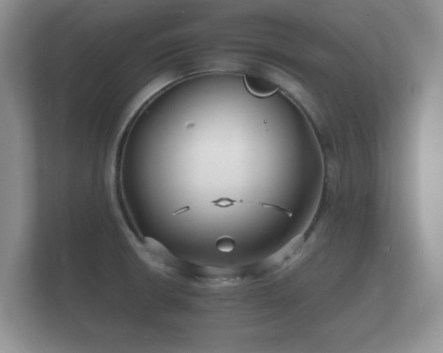 X0000112151426200908141205