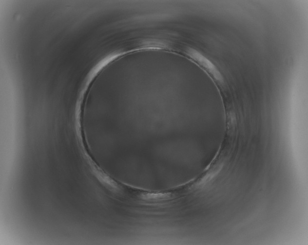 X0000112151427200908141205